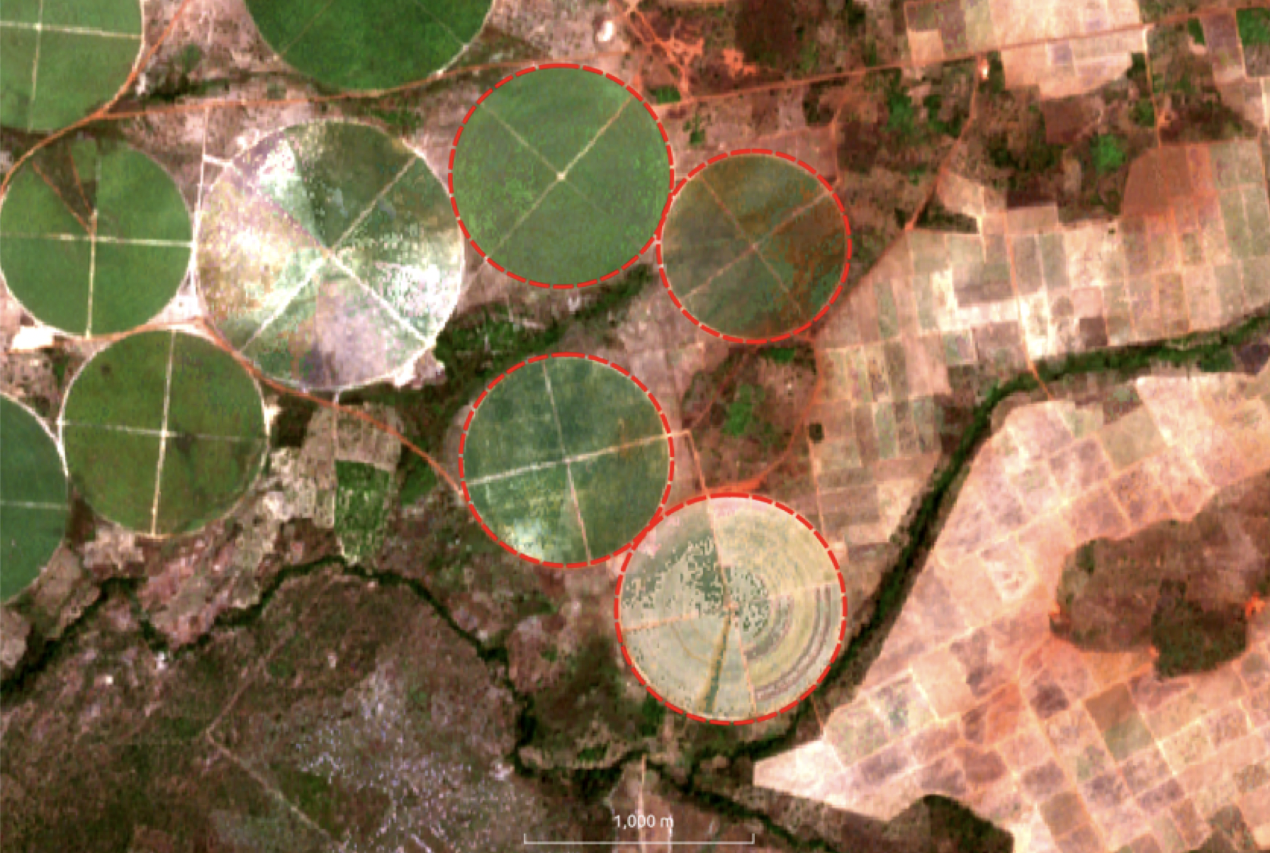 Agriculture